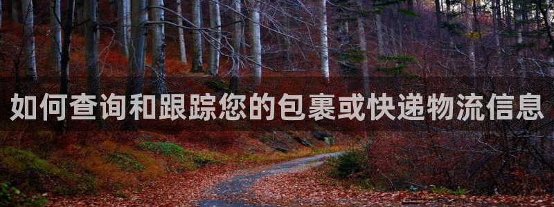 超凡国际登陆网：如何查询和跟踪您的包