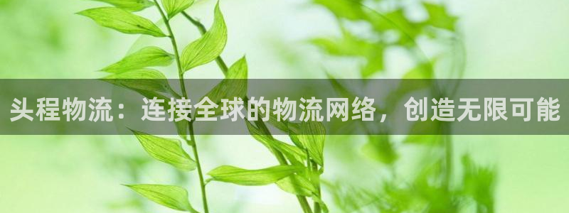 超凡国际分分28输了能不能退：头程物