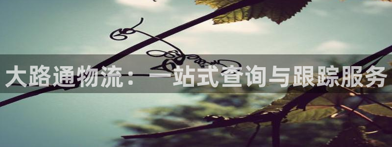 超凡国际旗下：大路通物流：一站式查询