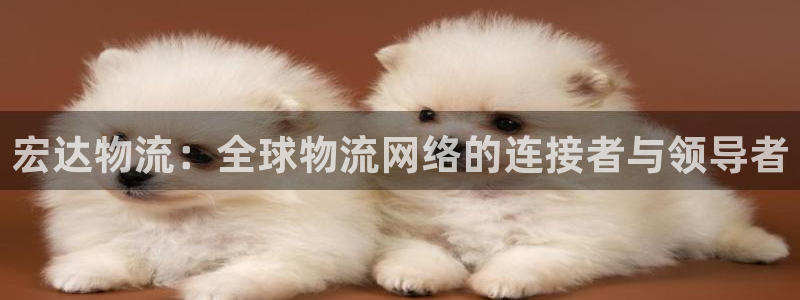 超凡国际可以退款吗:宏达物流:全球物