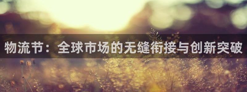 超凡国际注册上限是啥意思：物流节：全