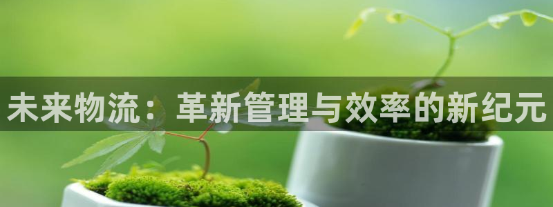 超凡国际加拿大技巧：未来物流：革新管