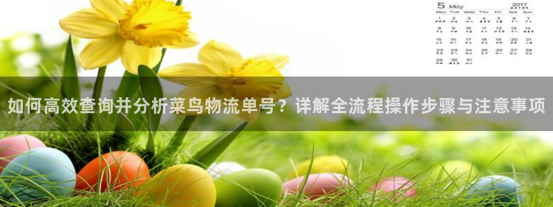 超凡国际游戏链接：如何高效查询并分析