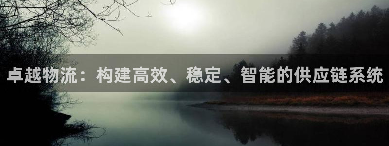 超凡国际注册平台：卓越物流：构建高效