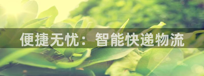 超凡国际登录网：便捷无忧：智能快递物