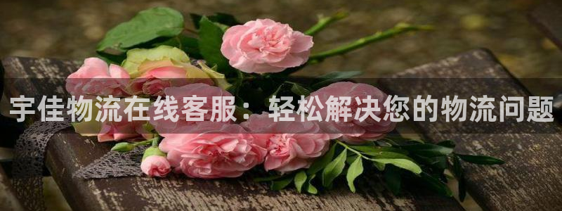 超凡国际注册问一问：宇佳物流在线客服