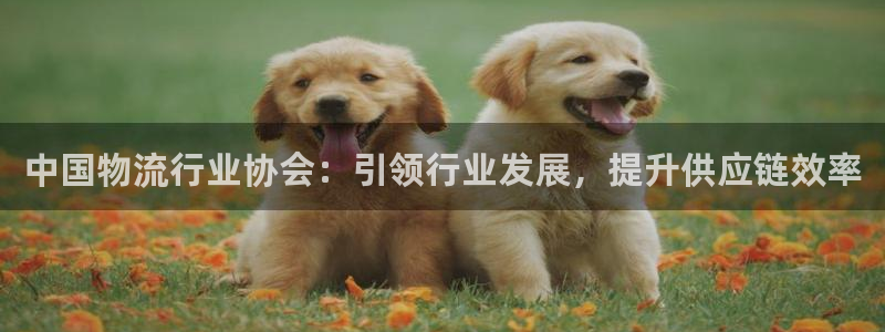 超凡国际游戏链接：中国物流行业协会：