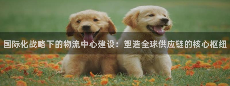 超凡国际注册登录链接:国际化战略下的