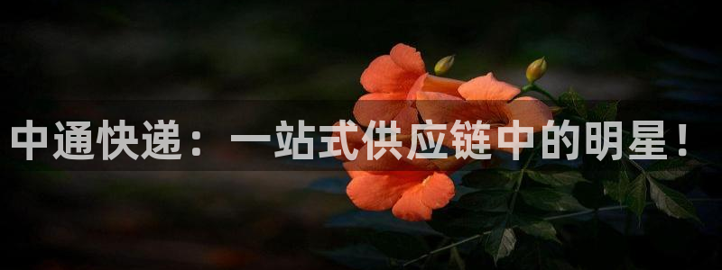 超凡国际不给提现