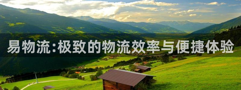 超凡国际软件堵什么反什么:易物流:极