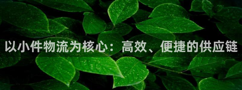 超凡国际官网入口app:以小件物流为