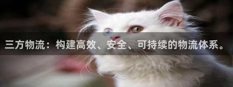 超凡国际游戏链接:三方物流:构建高效