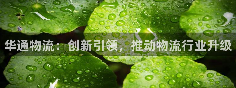 超凡国际加拿大pc预测:华通物流:创