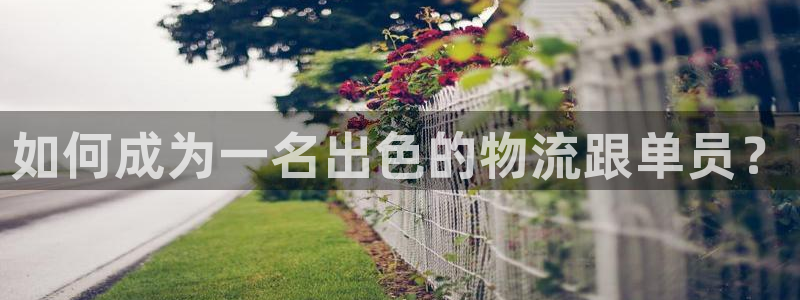 超凡国际反水什么时候到:如何成为一名