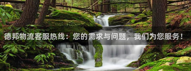超凡国际怎么注册游戏名字:德邦物流客