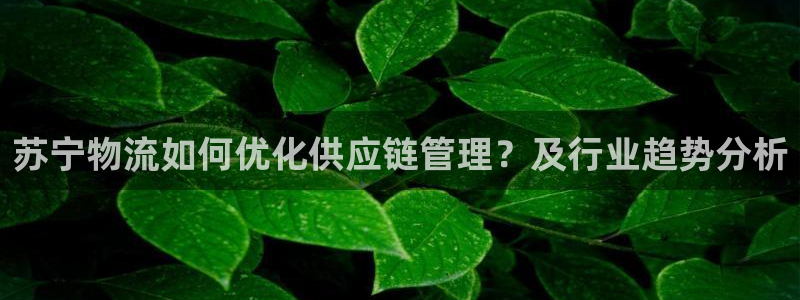 超凡国际注册网址:苏宁物流如何优化供