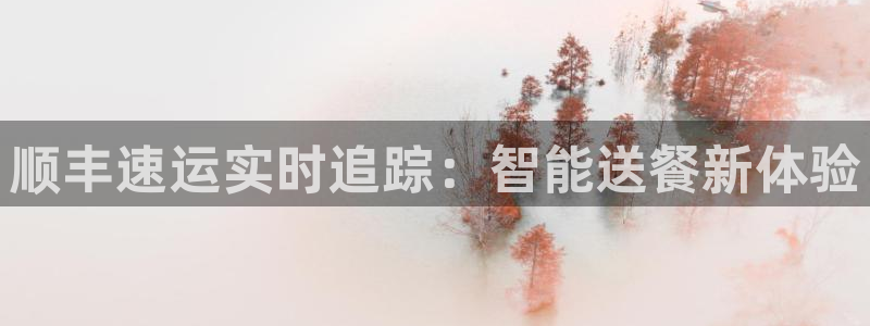 超凡国际模拟器在线玩:顺丰速运实时追