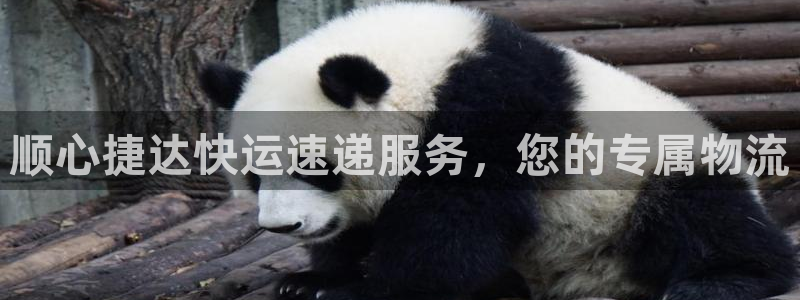 超凡国际注册网页:顺心捷达快运速递服
