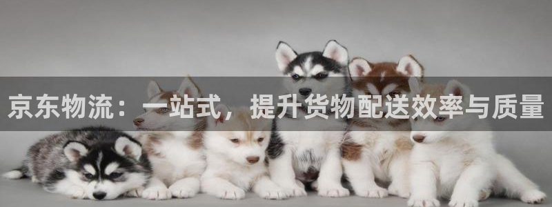 超凡国际注册链接教程:京东物流:一站