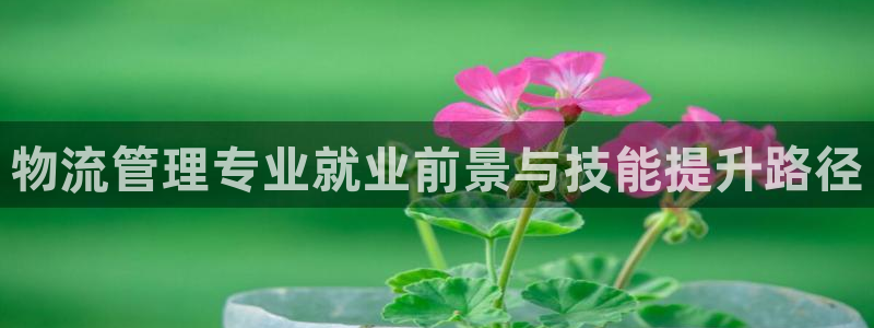 超凡国际官网下载链接是什么:物流管理