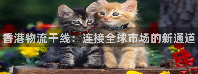 超凡国际预测加拿大：香港物流干线：连接全球市场的新通道