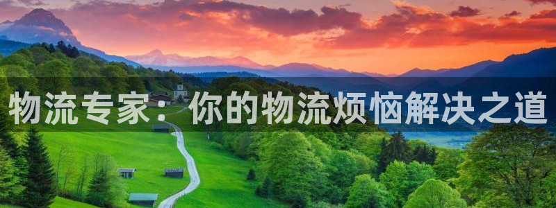 超凡国际官方网站预测：物流专家：你的