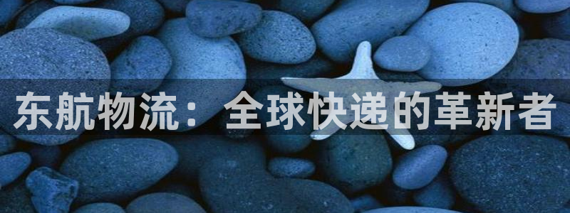 超凡国际比特28真实吗:东航物流:全