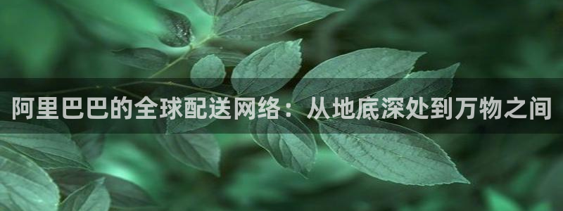 超凡国际app怎么注销:阿里巴巴的全